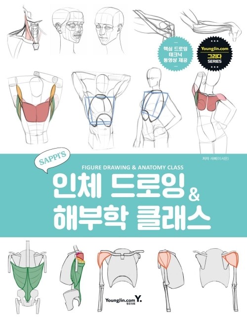 영진닷컴 온라인 서점,새삐의 인체 드로잉 & 해부학 클래스